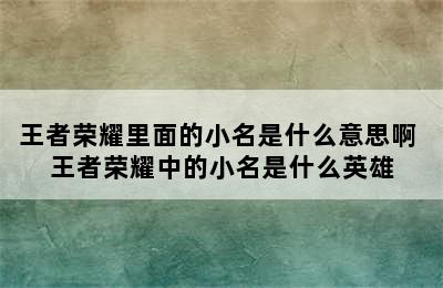 王者荣耀里面的小名是什么意思啊 王者荣耀中的小名是什么英雄